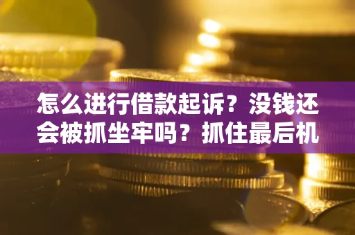 武汉怎么进行借款起诉？没钱还会被抓坐牢吗？抓住最后机会！