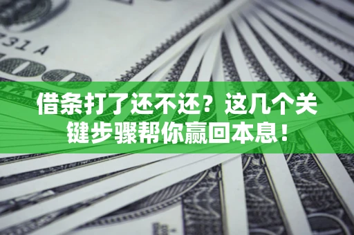 武汉借条打了还不还？这几个关键步骤帮你赢回本息！