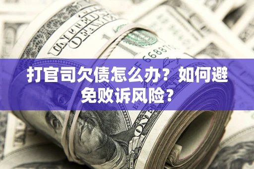 武汉打官司欠债怎么办？如何避免败诉风险？