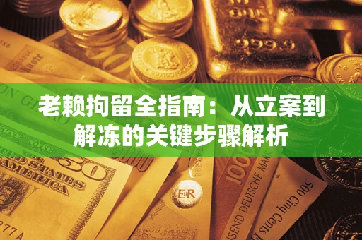 武汉老赖拘留全指南：从立案到解冻的关键步骤解析