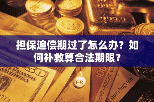 武汉担保追偿期过了怎么办？如何补救算合法期限？