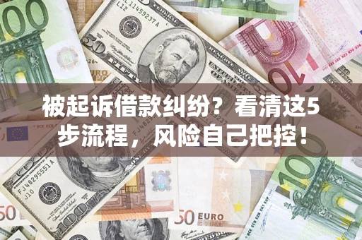 武汉被起诉借款纠纷？看清这5步流程，风险自己把控！