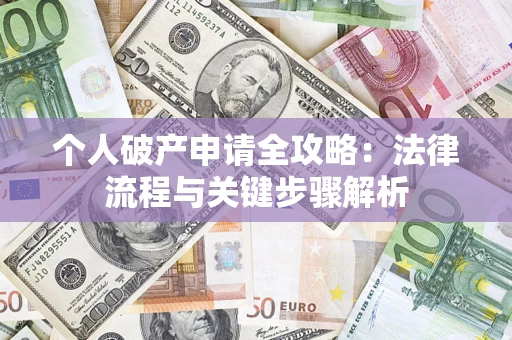 武汉个人破产申请全攻略：法律流程与关键步骤解析